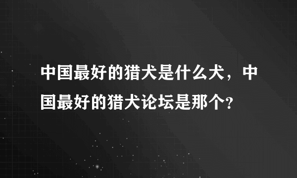 中国最好的猎犬是什么犬，中国最好的猎犬论坛是那个？