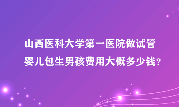 山西医科大学第一医院做试管婴儿包生男孩费用大概多少钱？