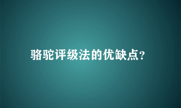 骆驼评级法的优缺点？