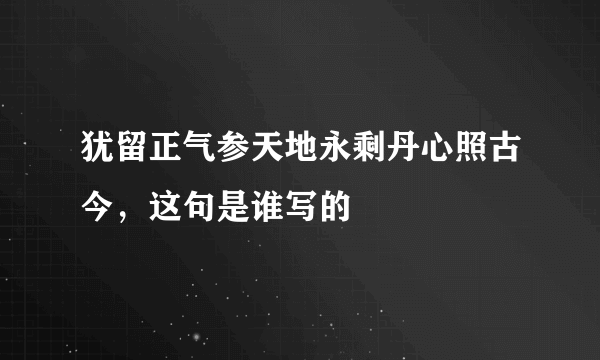 犹留正气参天地永剩丹心照古今，这句是谁写的