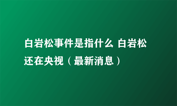 白岩松事件是指什么 白岩松还在央视（最新消息）