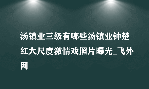 汤镇业三级有哪些汤镇业钟楚红大尺度激情戏照片曝光_飞外网