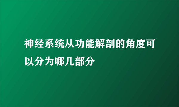 神经系统从功能解剖的角度可以分为哪几部分