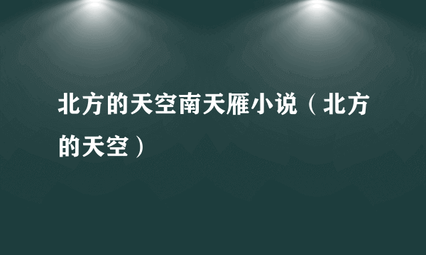 北方的天空南天雁小说（北方的天空）