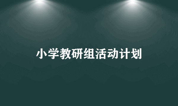 小学教研组活动计划