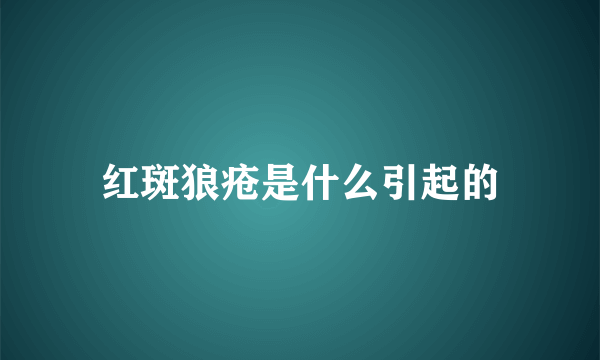 红斑狼疮是什么引起的