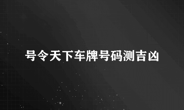 号令天下车牌号码测吉凶