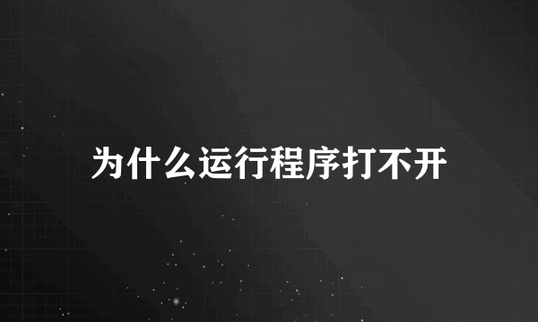 为什么运行程序打不开