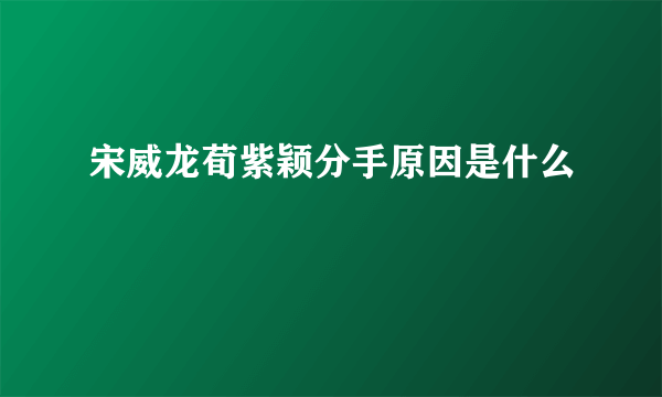 宋威龙荀紫颖分手原因是什么