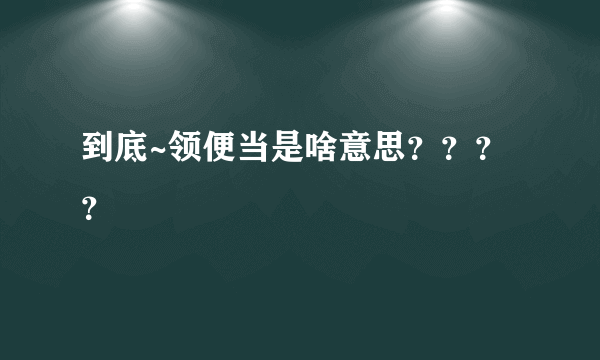 到底~领便当是啥意思？？？？