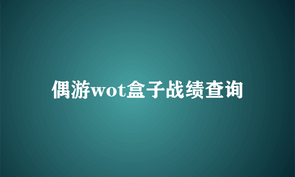 偶游wot盒子战绩查询