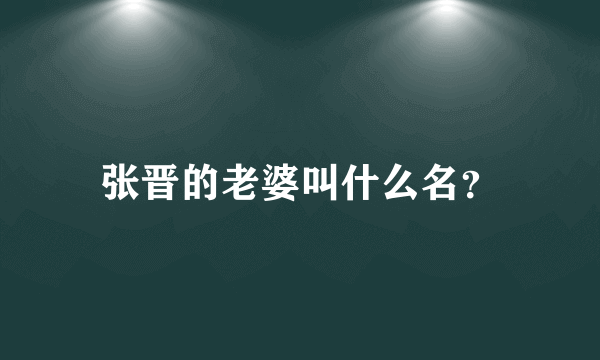 张晋的老婆叫什么名？