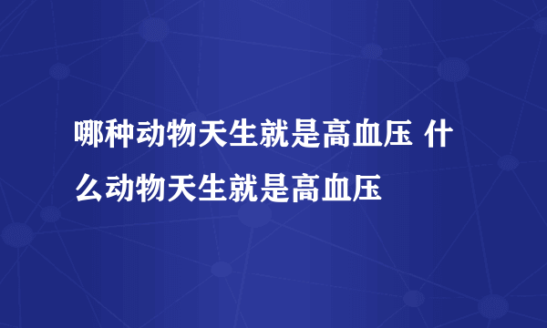 哪种动物天生就是高血压 什么动物天生就是高血压