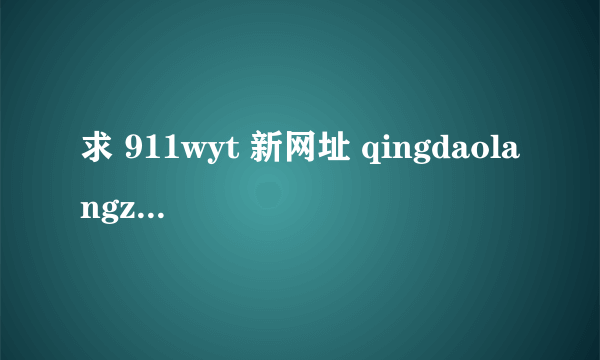 求 911wyt 新网址 qingdaolangzi@126.com