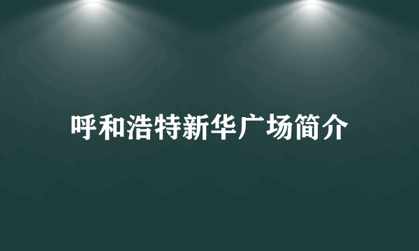 呼和浩特新华广场简介