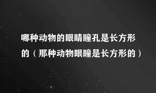 哪种动物的眼睛瞳孔是长方形的（那种动物眼瞳是长方形的）