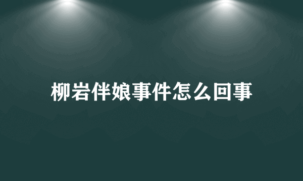 柳岩伴娘事件怎么回事