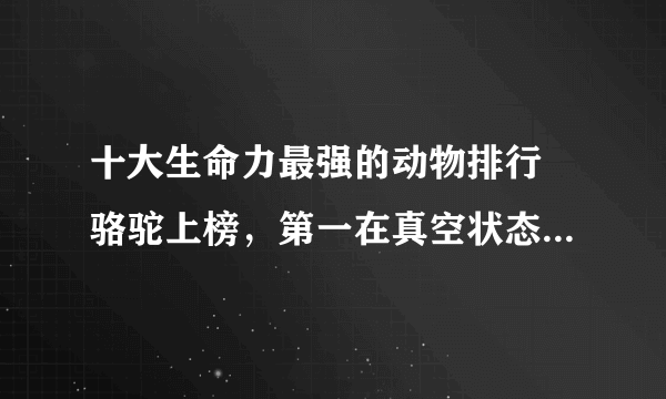 十大生命力最强的动物排行 骆驼上榜，第一在真空状态下也能生存