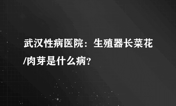 武汉性病医院：生殖器长菜花/肉芽是什么病？