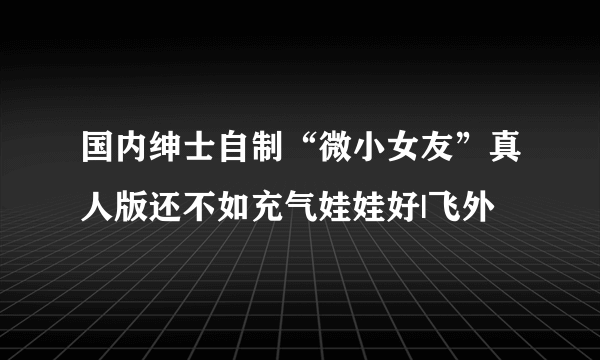 国内绅士自制“微小女友”真人版还不如充气娃娃好|飞外