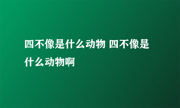 四不像是什么动物 四不像是什么动物啊