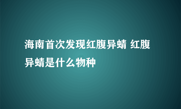 海南首次发现红腹异蜻 红腹异蜻是什么物种