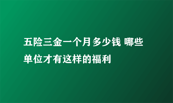 五险三金一个月多少钱 哪些单位才有这样的福利