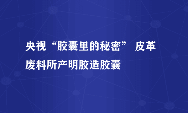 央视“胶囊里的秘密” 皮革废料所产明胶造胶囊