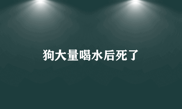 狗大量喝水后死了