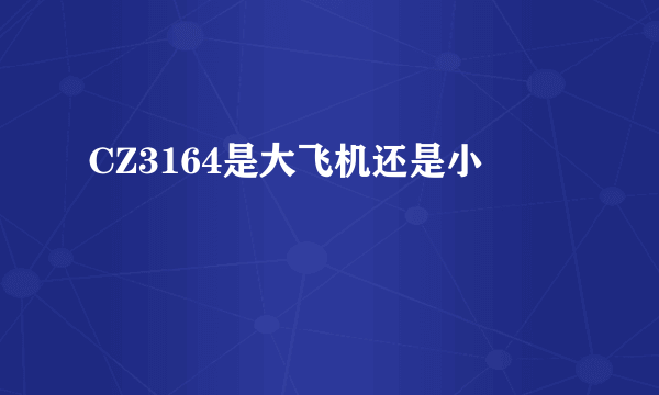 CZ3164是大飞机还是小