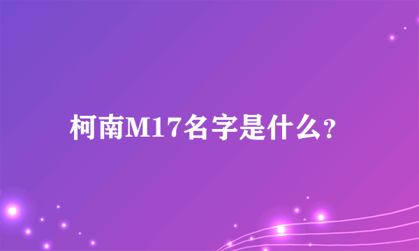 柯南M17名字是什么？