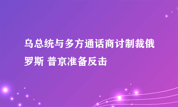 乌总统与多方通话商讨制裁俄罗斯 普京准备反击