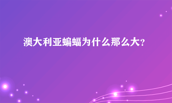 澳大利亚蝙蝠为什么那么大？