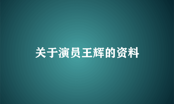 关于演员王辉的资料