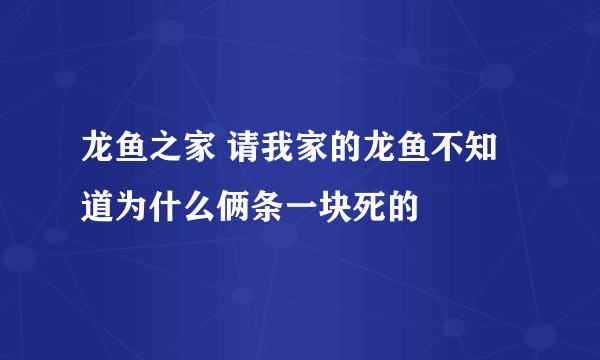 龙鱼之家 请我家的龙鱼不知道为什么俩条一块死的