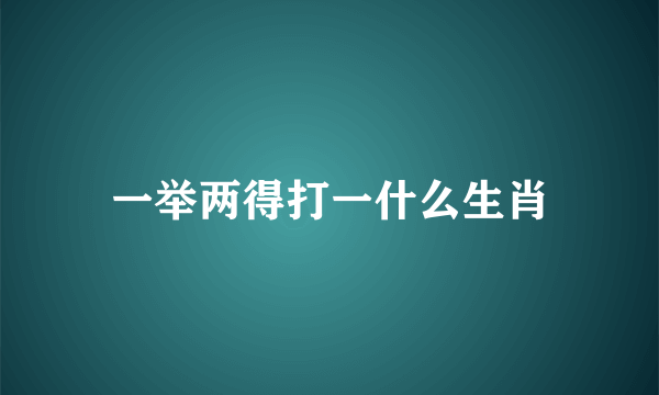 一举两得打一什么生肖