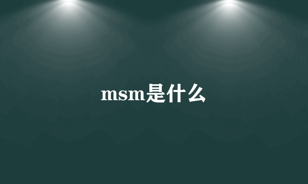 msm是什么