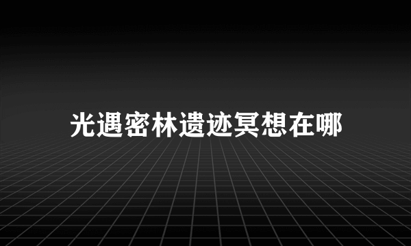 光遇密林遗迹冥想在哪