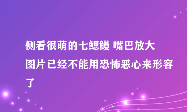 侧看很萌的七鳃鳗 嘴巴放大图片已经不能用恐怖恶心来形容了