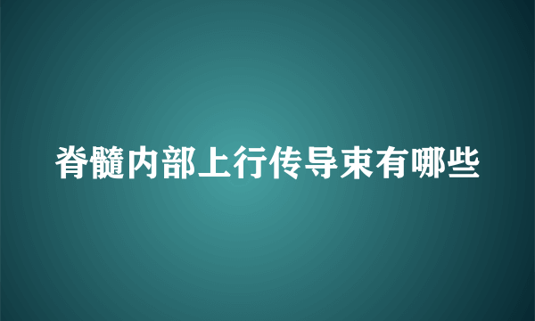 脊髓内部上行传导束有哪些