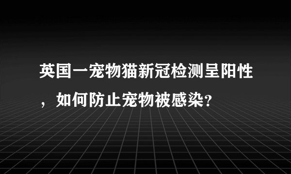 英国一宠物猫新冠检测呈阳性，如何防止宠物被感染？