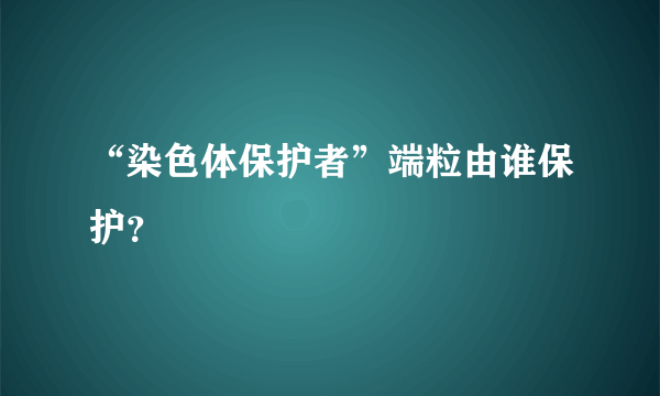 “染色体保护者”端粒由谁保护？