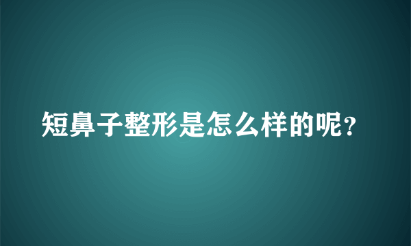 短鼻子整形是怎么样的呢？