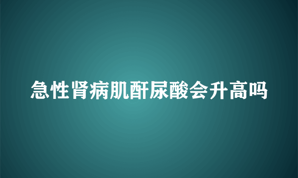 急性肾病肌酐尿酸会升高吗