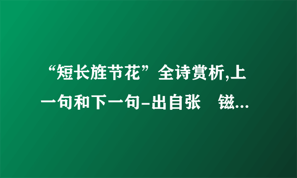 “短长旌节花”全诗赏析,上一句和下一句-出自张鎡《菩萨蛮·遣兴》-飞外