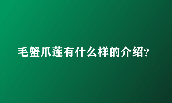 毛蟹爪莲有什么样的介绍？