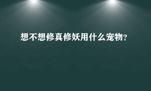 想不想修真修妖用什么宠物？