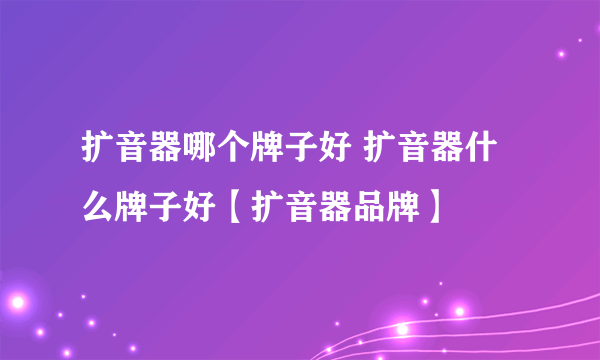 扩音器哪个牌子好 扩音器什么牌子好【扩音器品牌】