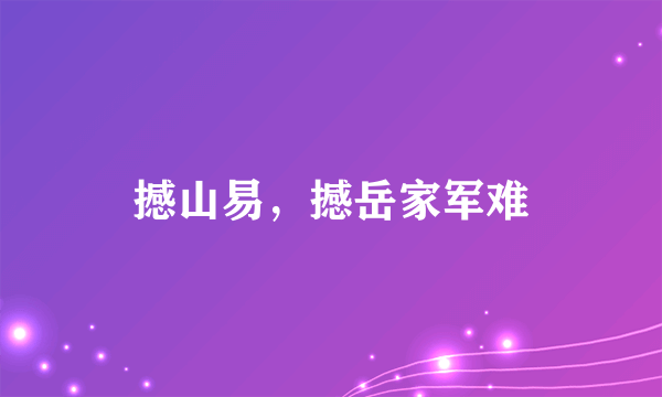 撼山易，撼岳家军难