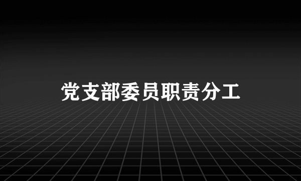 党支部委员职责分工